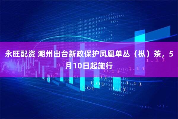 永旺配资 潮州出台新政保护凤凰单丛（枞）茶，5月10日起施行