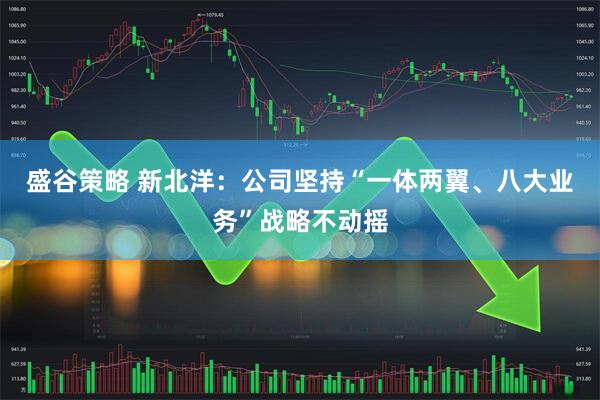 盛谷策略 新北洋：公司坚持“一体两翼、八大业务”战略不动摇