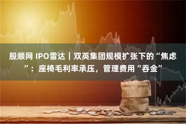 股顺网 IPO雷达｜双英集团规模扩张下的“焦虑”：座椅毛利率承压，管理费用“吞金”