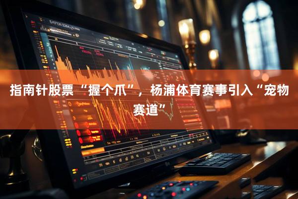 指南针股票 “握个爪”，杨浦体育赛事引入“宠物赛道”