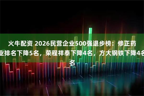火牛配资 2026民营企业500强退步榜：修正药业排名下降5名，荣程祥泰下降4名，方大钢铁下降4名